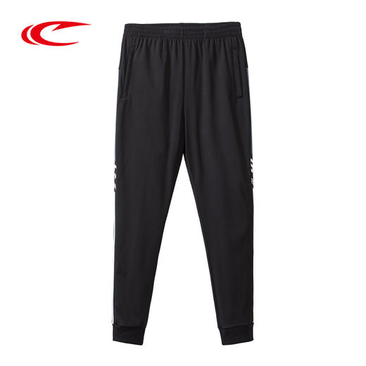 【线下同款 基础版型 光滑透气】赛琪男士春季针织长裤201041 商品图1