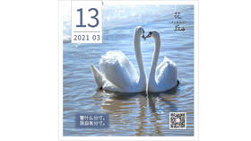 【花丘•心语】