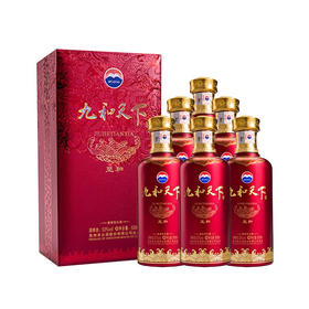 【推荐】贵州茅台酒股份有限公司出品 九和天下 至和 53度酱香型白酒500ml*6整箱装