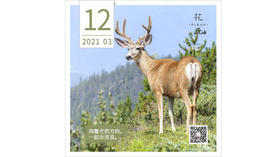 【花丘•心语】