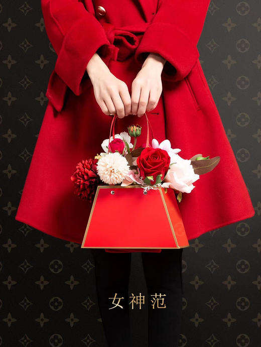 女神范手提袋 商品图3