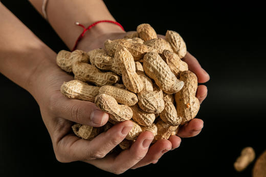 好事花生 出口烤花生 好干净 真好吃 无黄曲霉毒素 无添加剂 顺丰包邮 |百里食 商品图6