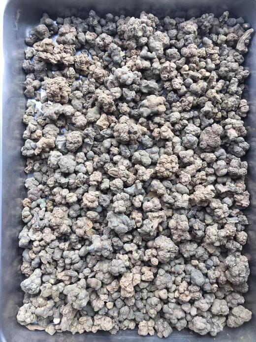 夏天无 商品图1