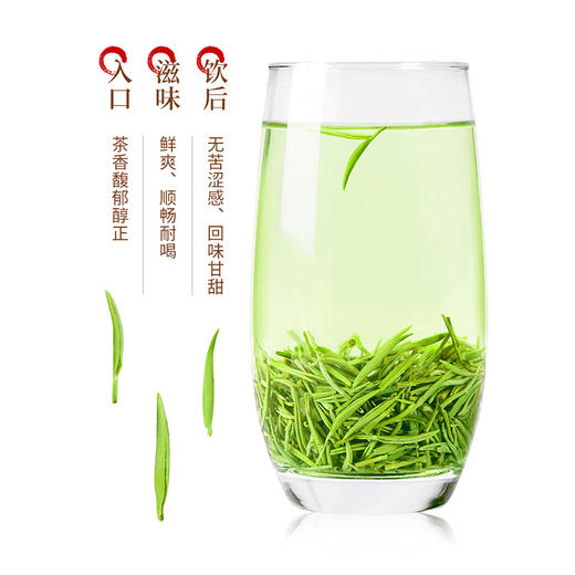 【宜昌助农馆】十八湾 明前毛尖绿茶芽茶毛尖王 125g/袋 商品图5