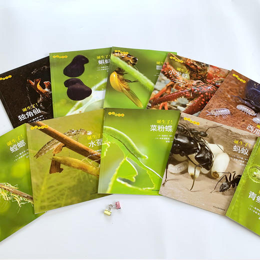 【10册】生命的故事第1辑 蝌蚪螳螂 少儿动物昆虫百科全书 动物世界 生命简史历程 2-3-6岁 幼儿园宝宝 儿童图书写真集 国外获奖 商品图1