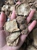土三七  云南野生土三七 商品缩略图3
