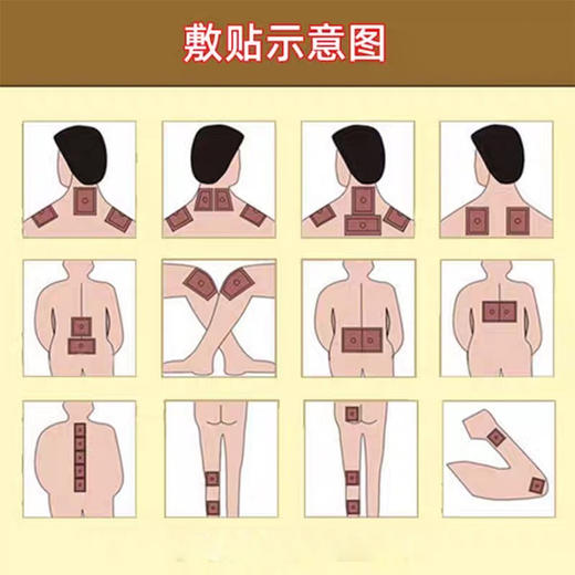 一条根精油布8片入 商品图2