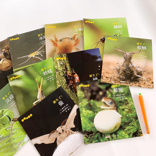 【10册】生命的故事第2辑 蚕 蟋蟀蜗牛少儿动物昆虫百科全书 动物世界生命简史历程 2-3-6岁 幼儿园宝宝儿童图书写真集 国外获奖 商品图1