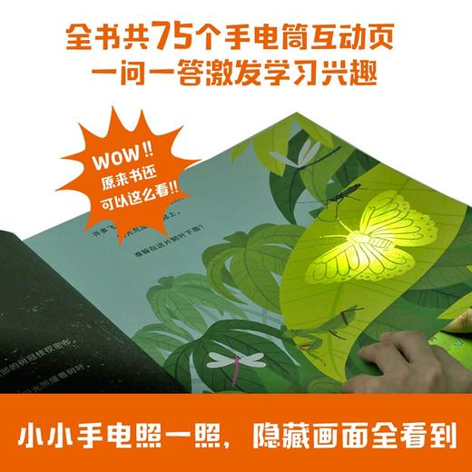 手电筒看里面科普透视绘本（“科技+自然”系列5本）3-6岁科普百科科普绘本互动阅读科普探索认知启蒙 商品图3