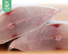 【叼鲜】本港冰鲜黑鲳鱼（未杀）/1份（3-4条，共450-500g） 商品缩略图2