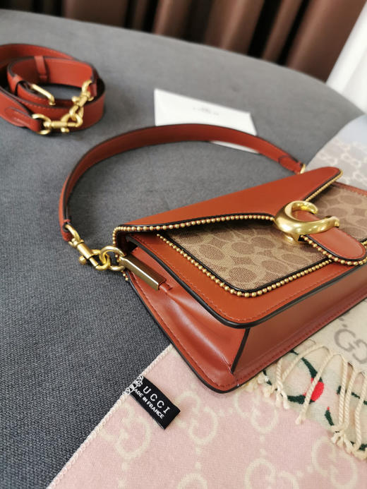 coach tabby蔻驰珠链酒神包-棕色 商品图7