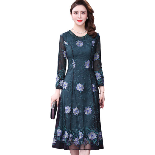 WXY-W-SQ-20218新款春年轻款圆领网纱刺绣法式裙子 商品图1