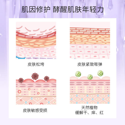 贝露丝 焕龄赋活精华原液 35ml 商品图3