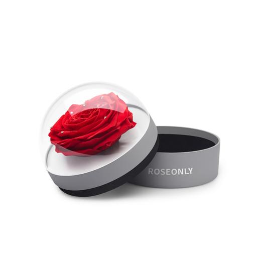 ROSEONLY 经典首饰盒 商品图1
