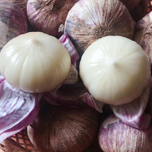 甄选出口级蒜王·大理紫皮独头蒜  蒜香浓郁 辛辣十足 商品图2