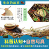 【朱芳宜倾情推荐】【全30册礼盒装】生命的故事系列正版 儿童少儿昆虫百科全书动物世界 生命简史 2-3-6岁 幼儿园儿童图书写真集 国外获奖经典绘本 商品缩略图1