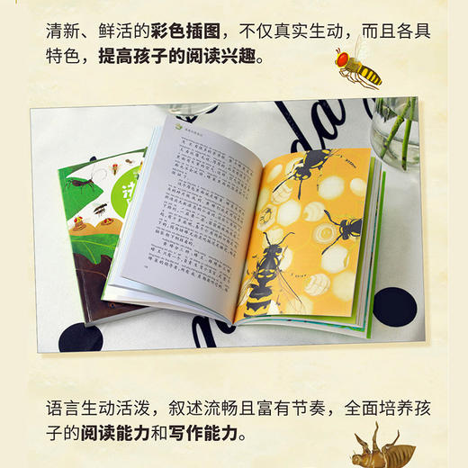 【注音版】法布尔昆虫记 世界经典动物故事美绘正版书世界名著阅读 7-8-10岁 小学生课外阅读书籍 一二三四年级课外书必读经典书目 商品图1