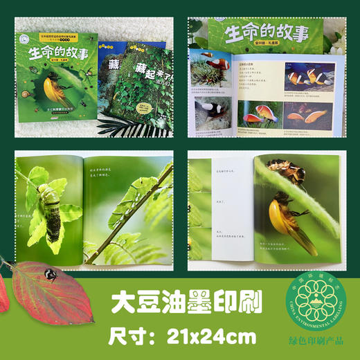 【32册组合装】生命的故事系列 儿童少儿动物昆虫百科全书动物世界 生命简史历程 2-3-6岁 幼儿园 儿童图书写真集 国外获奖 经典 商品图3