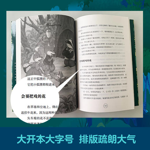 【2册】森林报上下全集 四年级必读课外书8-15岁 二三四五年级班主任推荐小学生课外必读课外书籍 比安基动物文学儿童读物 商品图2
