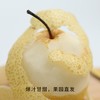 【秒杀】蜂蜜脆梨爽脆多汁甜度高当季生鲜精选5斤（约10-12枚） 商品缩略图0