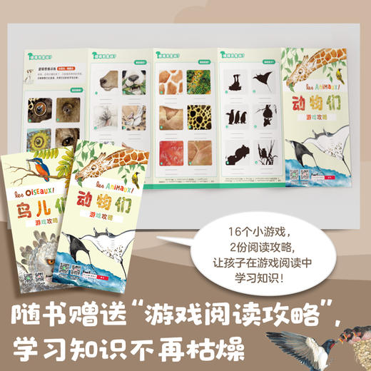 【精装全2册】鹦鹉螺21种动物们鸟儿们 幼儿认知动物百科全书 儿童3-4-6岁故事书自然通识类我的野生动物朋友科普绘本童书籍阅读 商品图4