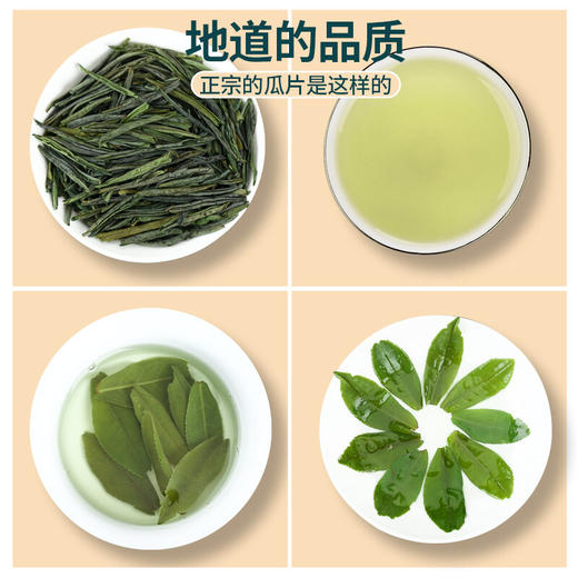 传奇会  正宗六安瓜片茶叶绿茶  雨前一级春茶 罐装礼盒装共170g 商品图2