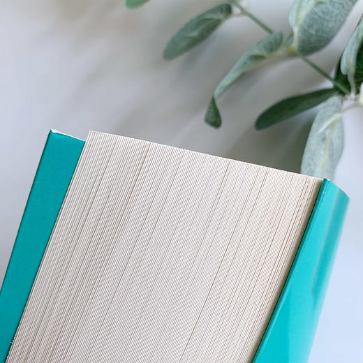 【插图版•全译本】地心游记 世界名著凡尔纳科幻经典儿童文学 正版书 小学生课外阅读书籍 一二三四五六年级课外书必读书目 商品图3