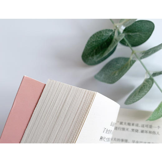 【插图版•全译本】从地球到月球 凡尔纳科幻世界名著经典儿童文学 正版书 小学生课外阅读书籍 一二三四五六年级课外书必读书目 商品图4