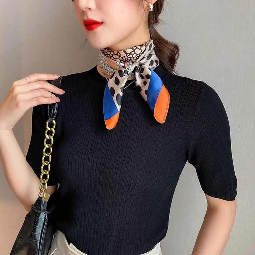 【内购不退换】【魔法丝巾】【一抹色彩 点亮整身搭配】【现货】臣禾【经典实用款】方巾好用又好看仿真丝锻面【多场合搭配用途】S211270330 商品图0