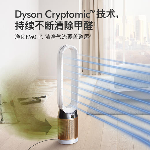 戴森Dyson 净化风扇 TP06 除菌除甲醛空气净化风扇 整屋循环净化 兼具空气净化器功能 商品图1