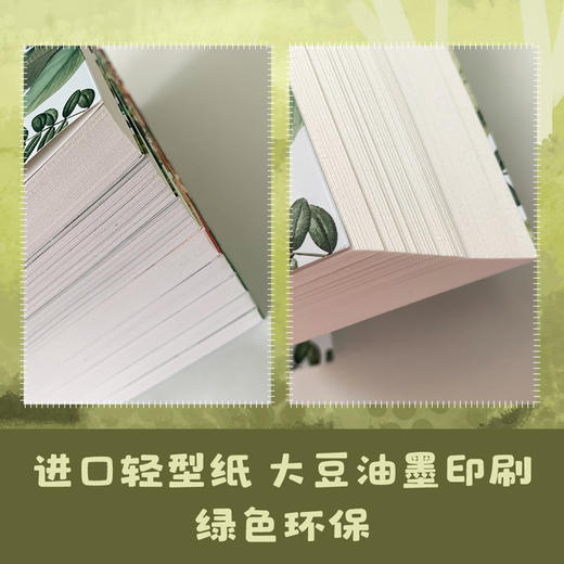 【全8册】比安基动物文学作品集 森林报四年级必读课外书8-15岁 二三四五年级班主任推荐小学生课外必读课外书籍 儿童读物 商品图4