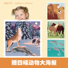 【全4册】动物的生活 狼、狮子、海豚、马  3-6岁儿童自然通识类野生动物朋友科普绘本童书籍阅读 商品缩略图4