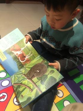 《不要吵醒沉睡的动物》：蝙蝠妈妈会不会喂蝙蝠宝宝？冬眠的动物会不会被雪花压死？