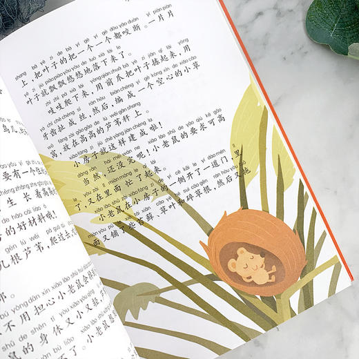 【注音版】比安基森林童话 世界经典动物故事美绘正版书世界名著阅读 7-8-10岁 小学生课外阅读书籍 一二三年级课外书必读经典书目 商品图4