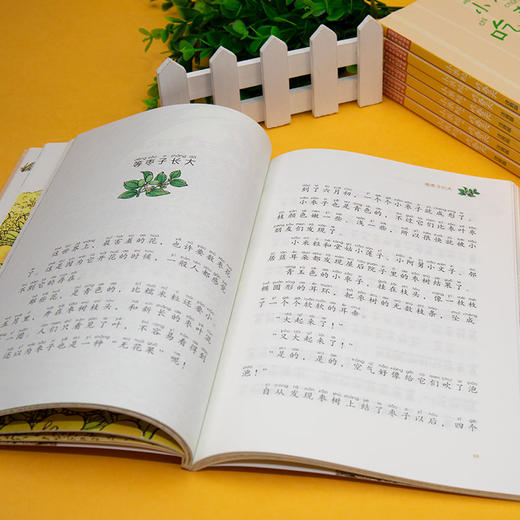 小米粒，吃春天（注音版） 商品图3