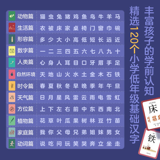 【240张卡片】识字对对碰 幼儿童宝宝看图识字卡片 学龄前儿童书籍3-6岁 幼小衔接教材一年级基础认字启蒙早教神器识字大王 商品图3