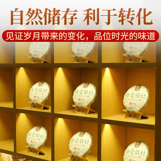 传奇会茶叶 福鼎白茶 白毫银针 陈年品质老白茶礼盒装300g 商品图9