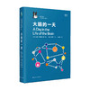 大脑的一天 企鹅 鹈鹕丛书 苏珊 格林菲尔德 著 经典著作 社会科学书籍 商品缩略图0