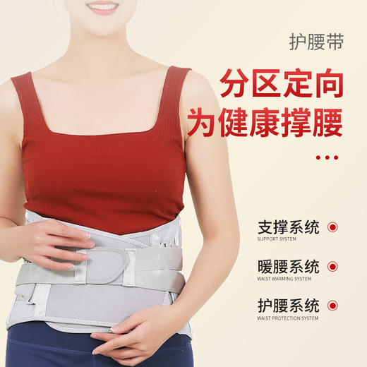 百年扁氏护腰带 商品图3