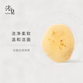 浴见希腊海绵洗脸扑洁面扑卸妆清洁毛孔去油女丝海绵FX