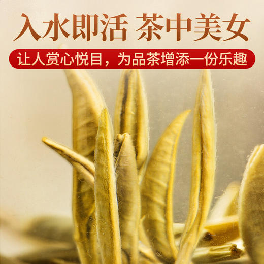传奇会茶叶 福鼎白茶 白毫银针 陈年品质老白茶礼盒装300g 商品图6