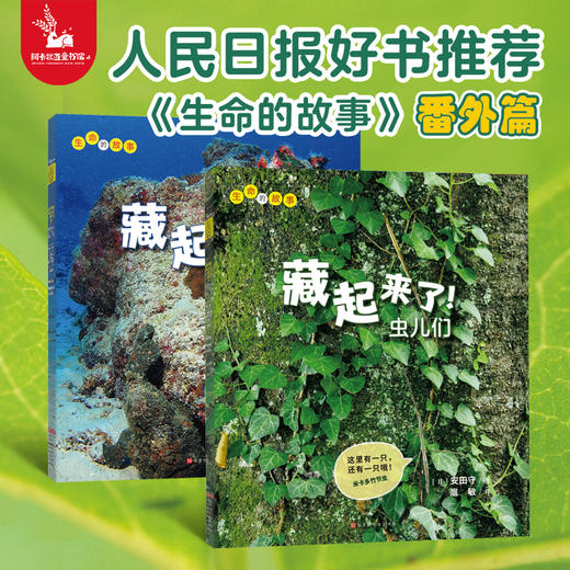 【番外篇2册】生命的故事系列 藏起来了儿童少儿动物昆虫百科全书动物世界生命简史历程2-3-6岁幼儿园图书写真集国外获奖经典绘本 商品图0