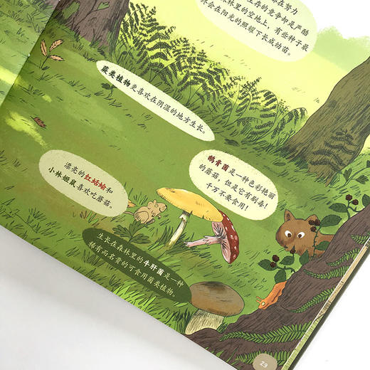 【精装硬壳】藏在森林里的生命 动物百科全书 儿童绘本国外经典2-3-4-6岁故事书早教 幼儿认知小百科 野生动物世界大探秘亲亲自然 商品图3