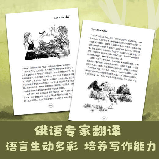 【全8册】比安基动物文学作品集 森林报四年级必读课外书8-15岁 二三四五年级班主任推荐小学生课外必读课外书籍 儿童读物 商品图3