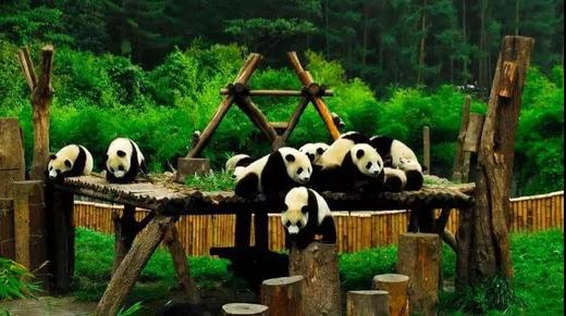 【朗诗峰上】暑期四姑娘山亲子徒步露营活动 商品图2