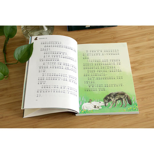 【注音版】西顿动物小说 世界经典动物故事 正版书世界名著阅读 7-8-10岁 中小学生课外必读书籍 一二三四年级课外书必读经典书目 商品图2