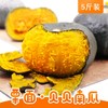 【秒杀】贝贝小南瓜拼装（红贝贝3+绿贝贝3）软糯香甜4-4.5斤装 商品缩略图1