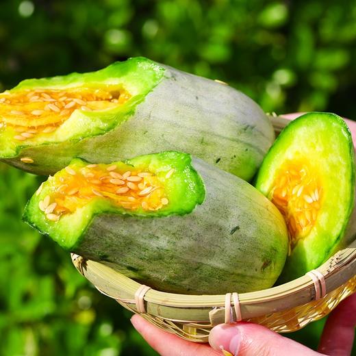 【羊角蜜瓜】前期口感清淡 后期甜度升高 介意慎拍~ 皮薄肉嫩 清甜多汁 果香四溢 松脆爽口 果皮薄脆 营养美味 4种规格任选 商品图1