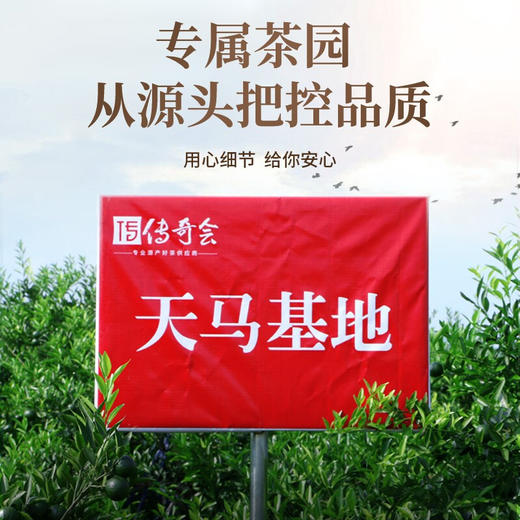 传奇会茶叶 小青柑普洱茶礼盒500g 正宗新会生晒云南宫廷普洱茶熟茶 小青桔陈皮柑普茶 商品图8