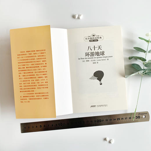 【插图版•全译本】八十天环游地球 凡尔纳科幻经典世界名著儿童文学 正版书 小学生课外阅读书籍 一二三四五六年级课外书必读书目 商品图3